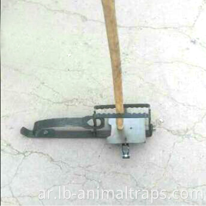 المبيعات الساخنة Liebang Long Spring Traps Single Door Coyote Leg Leg Hold Traps China